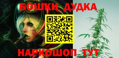 тгк Новокубанск