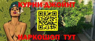 Альфа ПВП Новозыбков