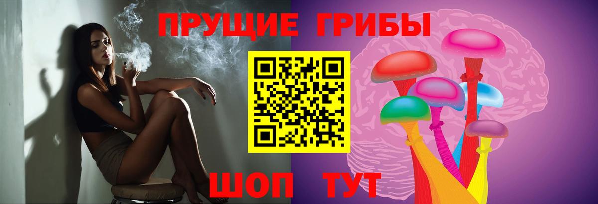 Псилоцибиновые грибы мицелий  цена наркотик  Псилоцибиновые грибы мицелий  Тамбов  Вход с VPN 
